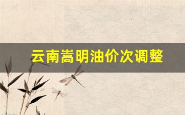 昆明油价今日24时下调-云南嵩明油价次调整