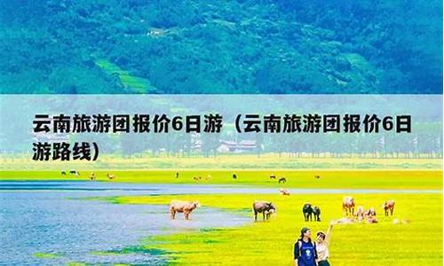 云南当地旅游团报价6日游_云南当地旅游团报价6日游多少钱