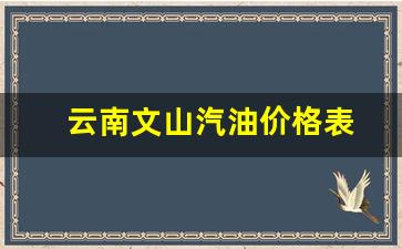 云南文山汽油92号价格_云南文山汽油价格表
