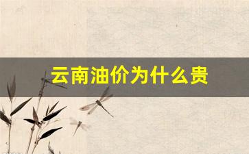 云南油价为什么贵-云南油价为什么贵一些