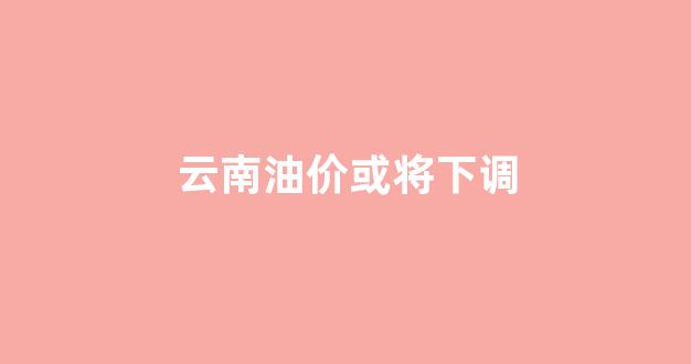 云南油价调整时间表_云南油价或将下调