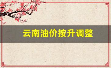 2020年云南油价查询-云南油价按升调整