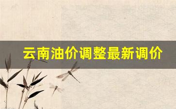 云南油价最新价格-云南油价调整最新调价