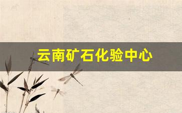 云南矿石化验中心(云南矿石化验中心招聘)_https://www.brunchezvous.com_旅游攻略_第1张