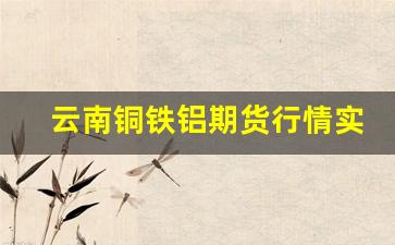 云南铜铁铝期货行情实时行情(云南铜业今天收盘价)_https://www.jumanxin.com_上交所_第1张