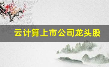 云计算上市公司龙头股票(云计算机上市公司龙头股票)_https://www.eamstsz.com_上交所_第1张