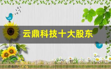 云鼎科技十大股东(云鼎科技最新消息新闻)_https://www.czytfl.com_期货_第1张