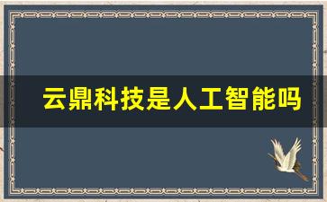 云鼎科技是人工智能吗(云鼎科技简介)_https://www.haiwangdasha.com_郑商所_第1张