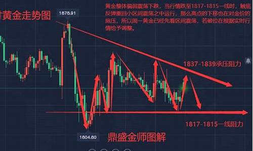 五周金价走势分析_五周金价走势分析图