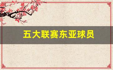 五大联赛的亚洲球员-五大联赛东亚球员