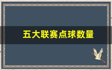五大联赛点球数量-五大联赛点球数量怎么算
