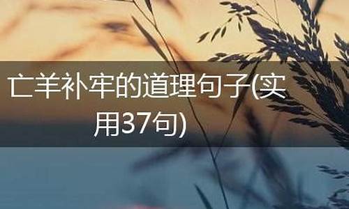 亡羊补牢造句子十个字简单_亡羊补牢造句10字