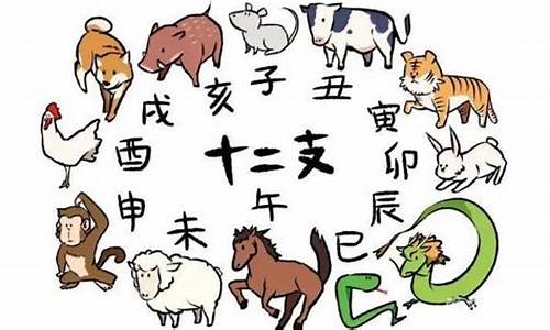 亥猪和戌狗的关系是什么-戊狗和亥猪能在一起生活吗