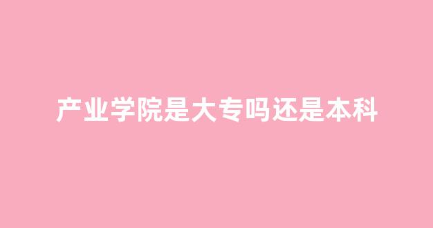 产业学院是大专吗还是本科(产业学院是公办还是民办)_https://www.jnskb.com_装修公司_第1张