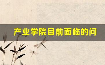 产业学院目前面临的问题(产业学院优势特色)_https://www.eamstsz.com_北交所_第1张