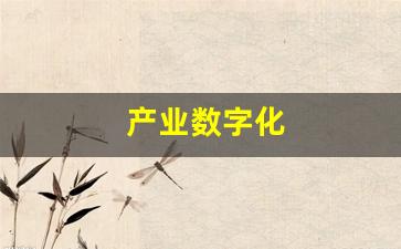 产业数字化(产业数字化是指)_https://www.jumanxin.com_深交所_第1张
