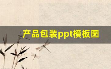 产品包装ppt模板图片(产品包装设计图片欣赏)_https://www.ljyuan-tech.com_科创板_第1张