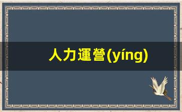 人力運營(yíng)工作內容插圖