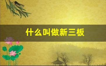 什么叫做新三板(什么是新三板)_https://www.wguangz.com_大商所_第1张