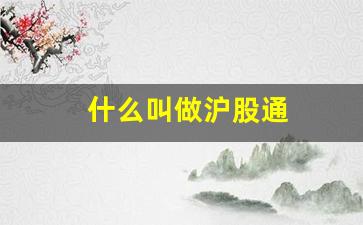 什么叫做沪股通(沪股通包含什么股)_https://www.dongshengweixin.com_创业板_第1张