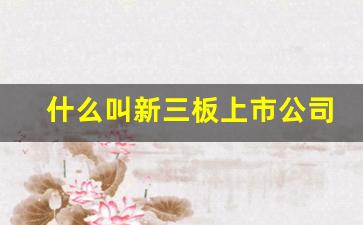 什么叫新三板上市公司(何为新三板挂牌上市)_https://www.gdbxwh.com_开网店_第1张