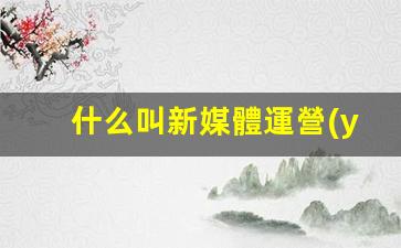 什么叫新媒體運營(yíng)工作內容插圖