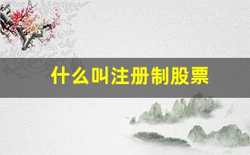 什么叫注册制股票(什么叫注册制股票什么叫核准制股票呢)_https://www.shshucaipeisong.com_上交所_第1张