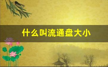 什么叫流通盘大小