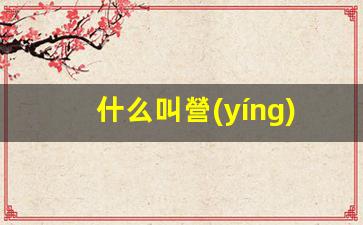 什么叫營(yíng)運管理插圖