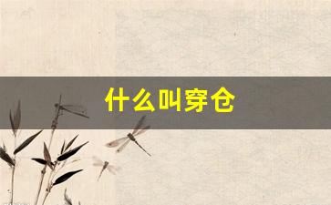 什么叫穿仓(穿仓要赔钱吗)_https://www.haiwangdasha.com_郑商所_第1张