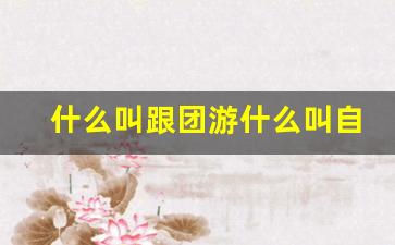 什么叫跟团游什么叫自由行走的意思-跟团游与自由行有什么不同