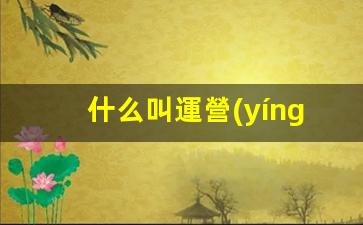 什么叫運營(yíng)方式插圖