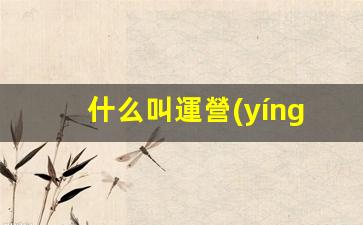 什么叫運營(yíng)活動(dòng)插圖