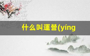 什么叫運營(yíng)策略插圖