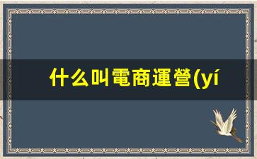什么叫電商運營(yíng)插圖