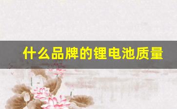 什么品牌的锂电池质量最好的(什么品牌的电水壶质量最好)_https://www.jumanxin.com_深交所_第1张