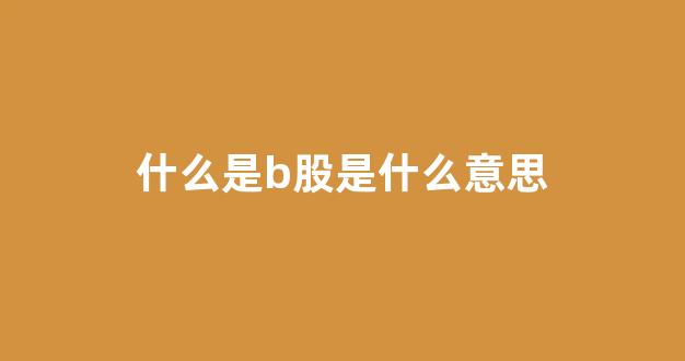 什么是b股是什么意思(什么是b股是什么意思)_https://www.luoxuangg888.com_上交所_第1张