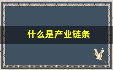 什么是产业链条(什么是产业链条型企业)_https://www.jumanxin.com_深交所_第1张
