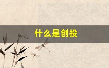 什么是创投(什么是创投企业)_https://www.syklpowerbike.com_创业板_第1张