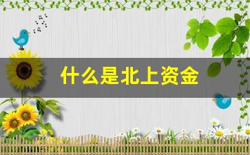 什么是北上资金(北上资金是啥意思)_https://www.heiljjianzu.com_深交所_第1张