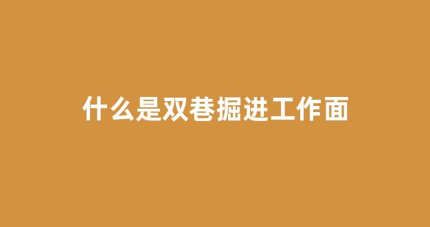 什么是双巷掘进工作面(双巷掘进优点)_https://www.hangfeite.com_创业板_第1张