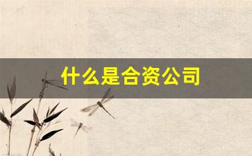 什么是合资公司(什么是合资公司可以算中小微企业吗)_https://www.haiwangdasha.com_广期所_第1张