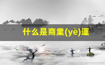 什么是商業(yè)運營(yíng)模式插圖