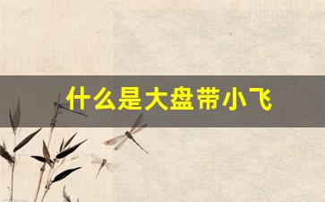 什么是大盘带小飞(大盘带大飞什么意思)_https://www.jumanxin.com_创业板_第1张