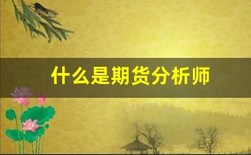 什么是期货分析师(期货分析师这个工作好不好)_https://www.wanyuyiyao.com_北交所_第1张