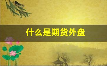什么是期货外盘(期货交易的外盘内盘什么意思)_https://www.fzdzcxj.com_深交所_第1张