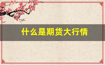 什么是期货大行情(期货行情什么意思)_https://www.haiwangdasha.com_大商所_第1张