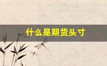 什么是期货头寸(期货交易中的头寸是指多头或空头)_https://www.hangfeite.com_深交所_第1张