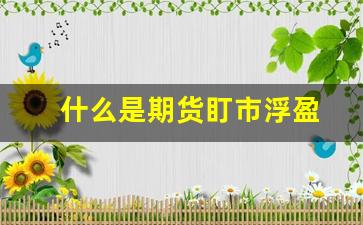 什么是期货盯市浮盈(期货盯市浮盈是真正的盈利还是暂时的)_https://www.hn-life.com_上交所_第1张