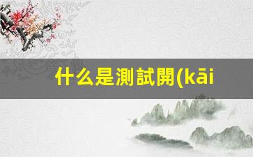 什么是測試開(kāi)發(fā)工程師插圖